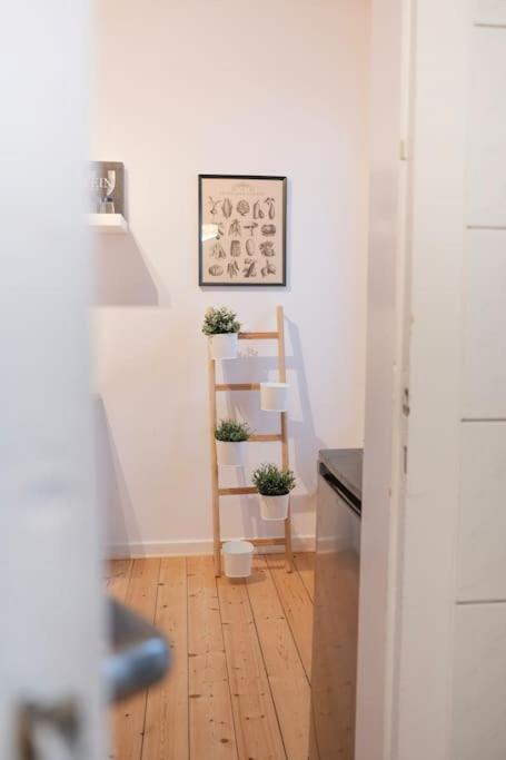 Stadtoase Design Wohnung In Der Altstadt Von Koblenz Кобленц Экстерьер фото